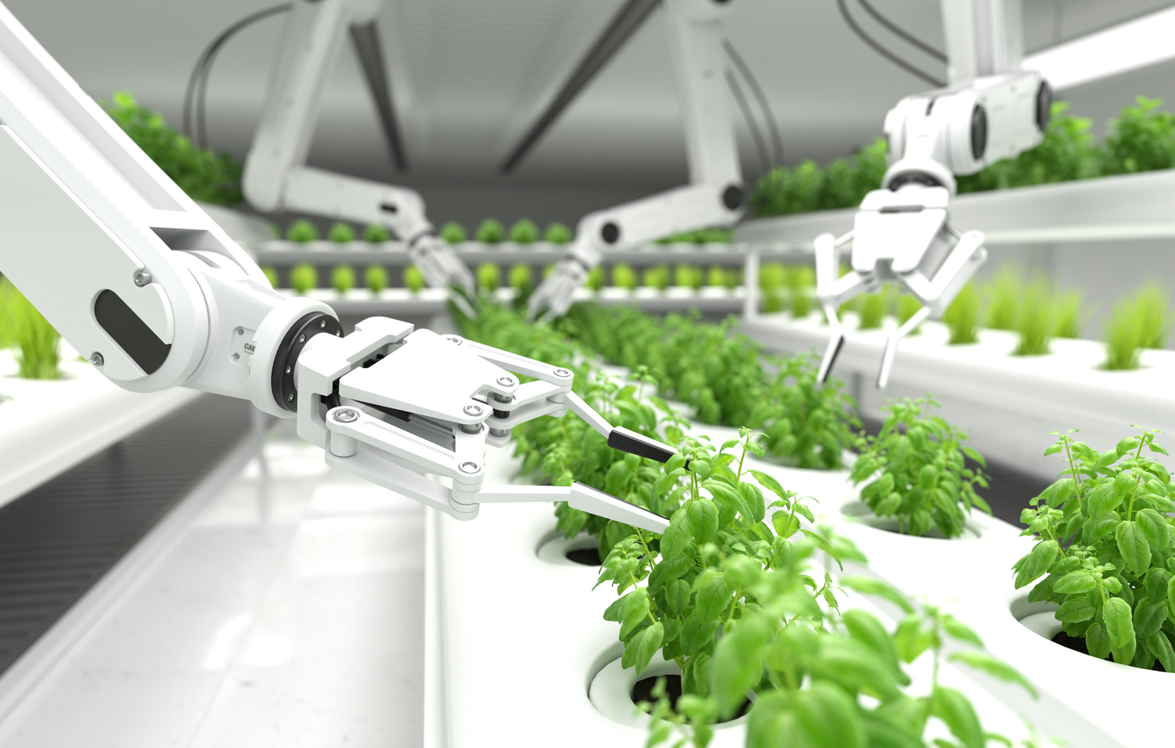 Smart Robotic Farmers Concept, Robot Farmers, Agriculture Techno